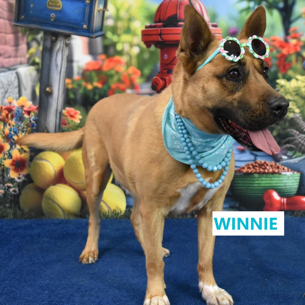 Winnie