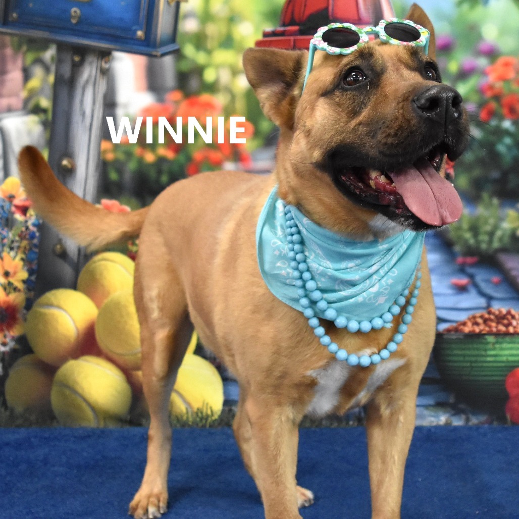 Winnie