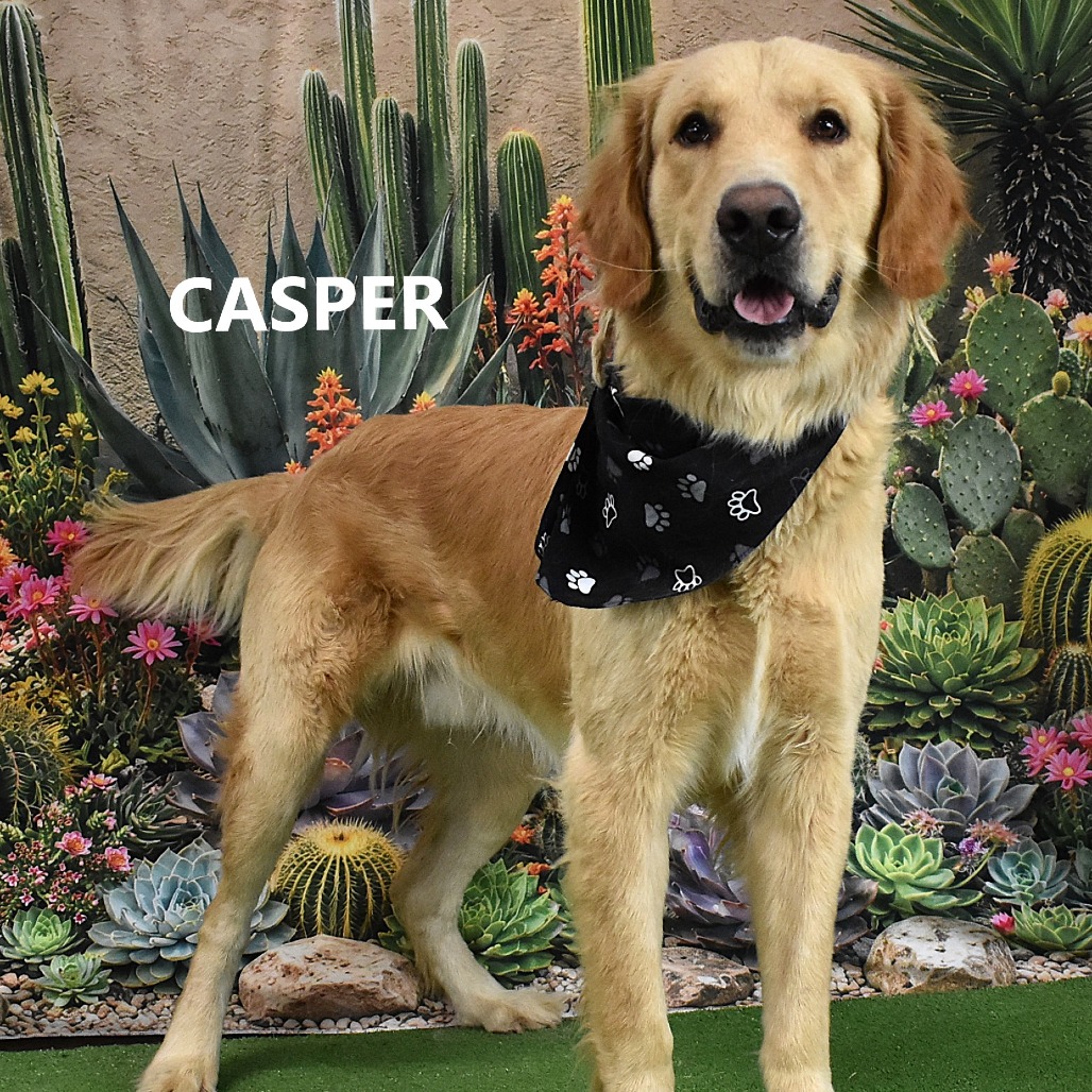 Casper