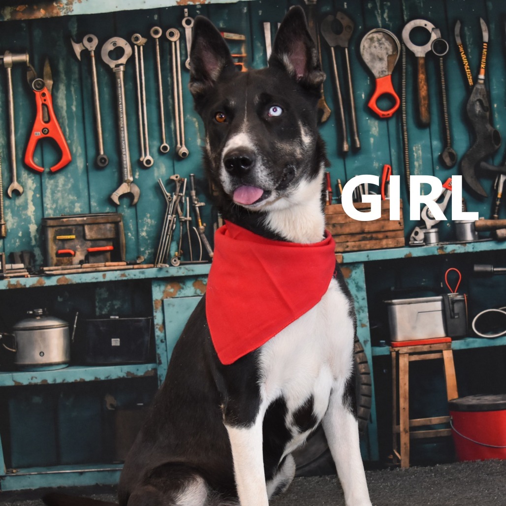  Girl