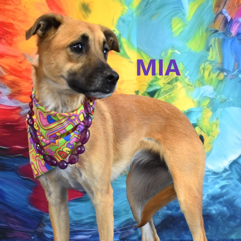 Mia