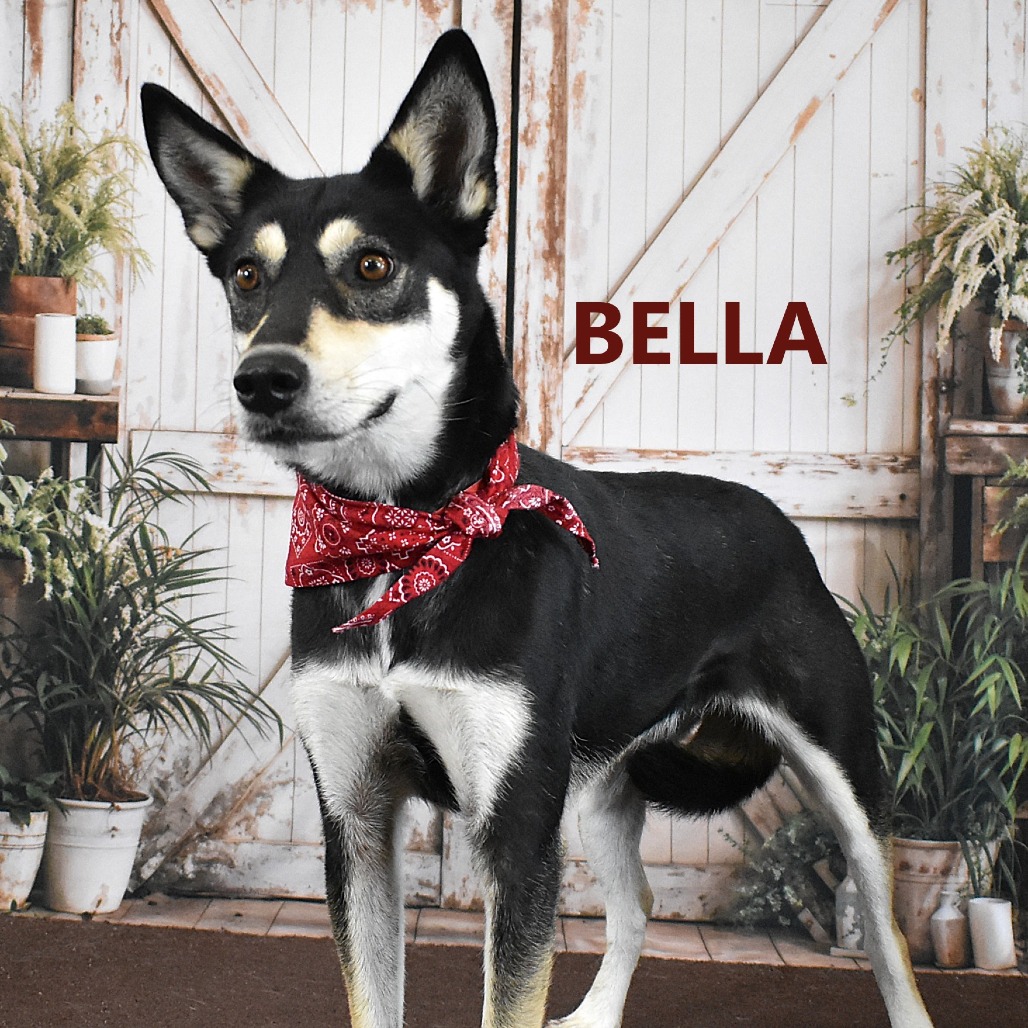 Bella