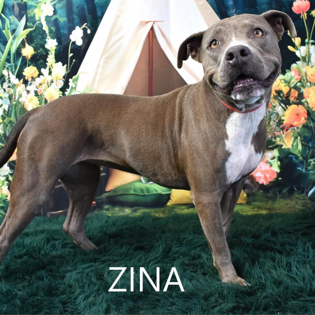 Zina