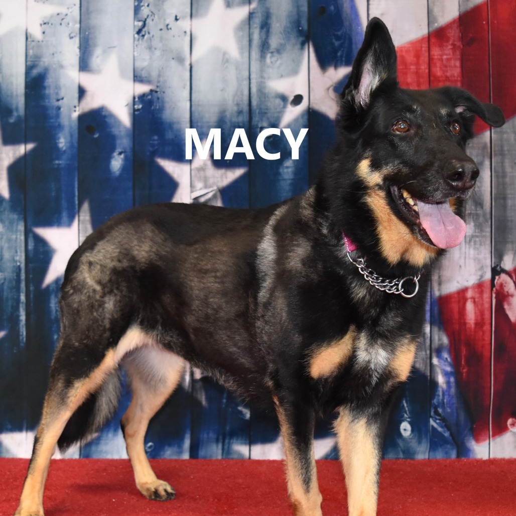 Macy