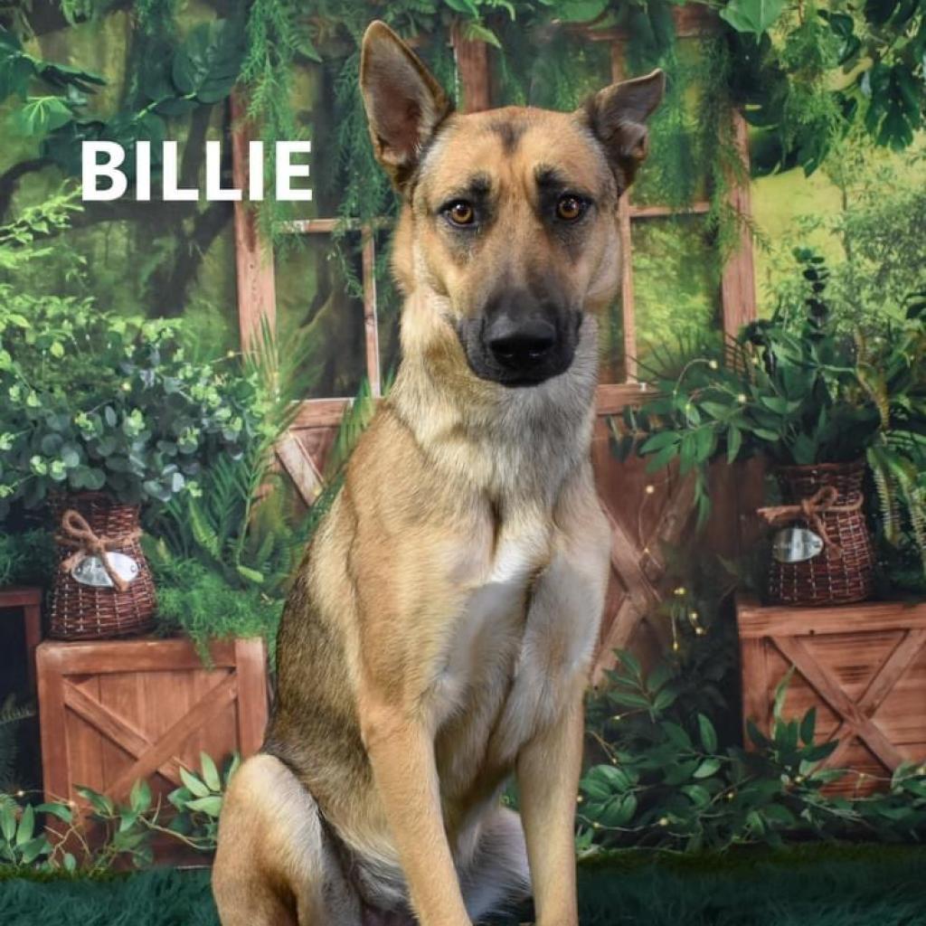 Billie