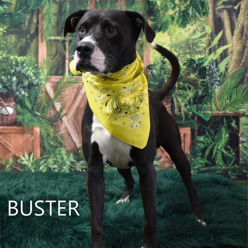 Buster