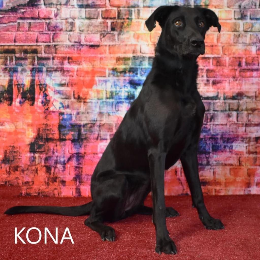 Kona