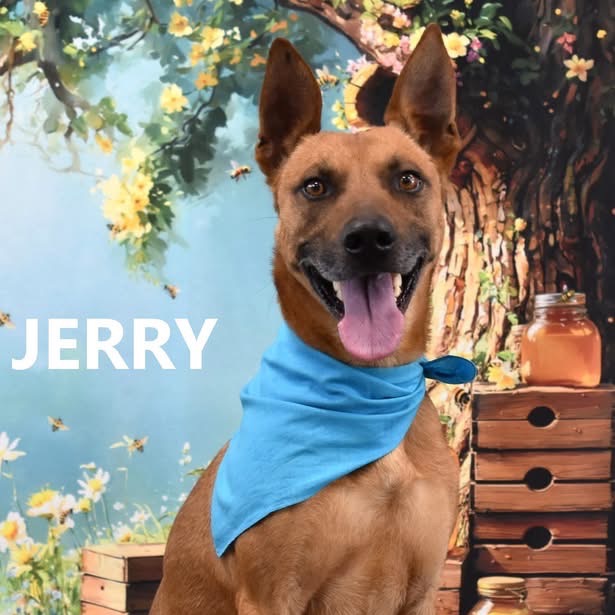 Jerry