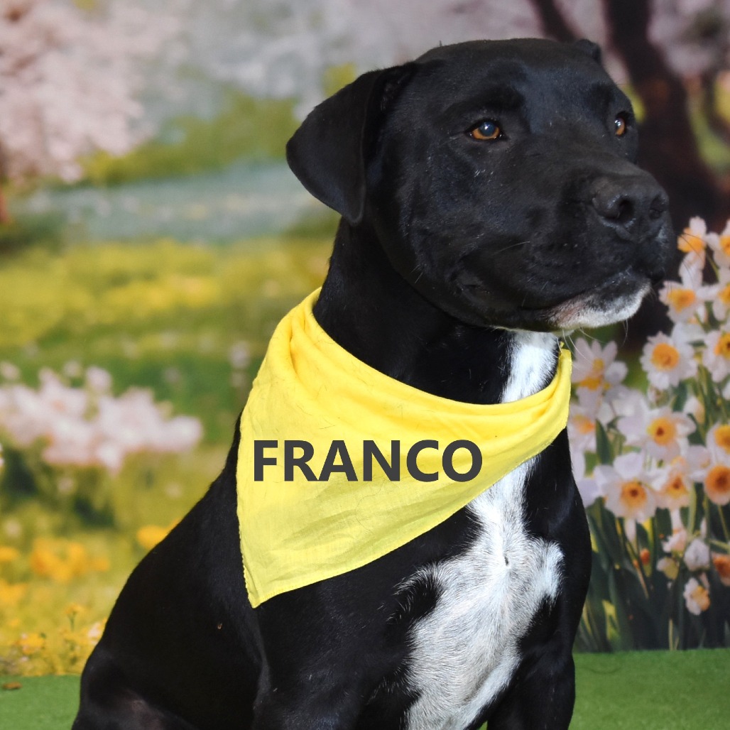 Franco