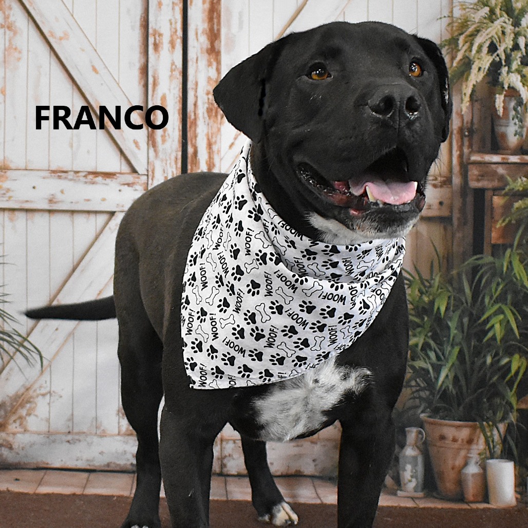 Franco