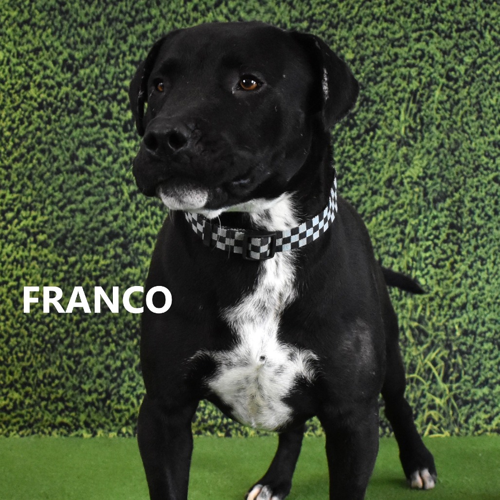 Franco