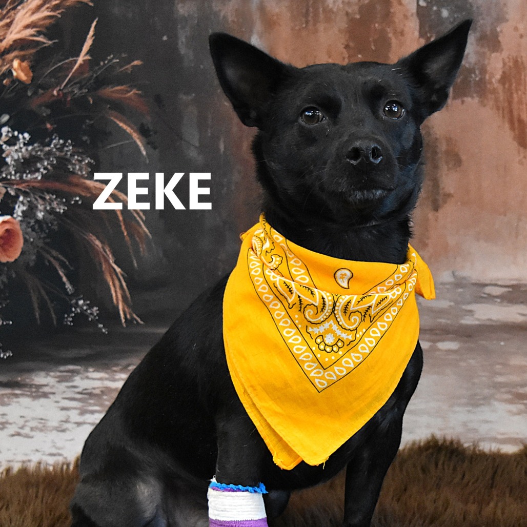 Zeke