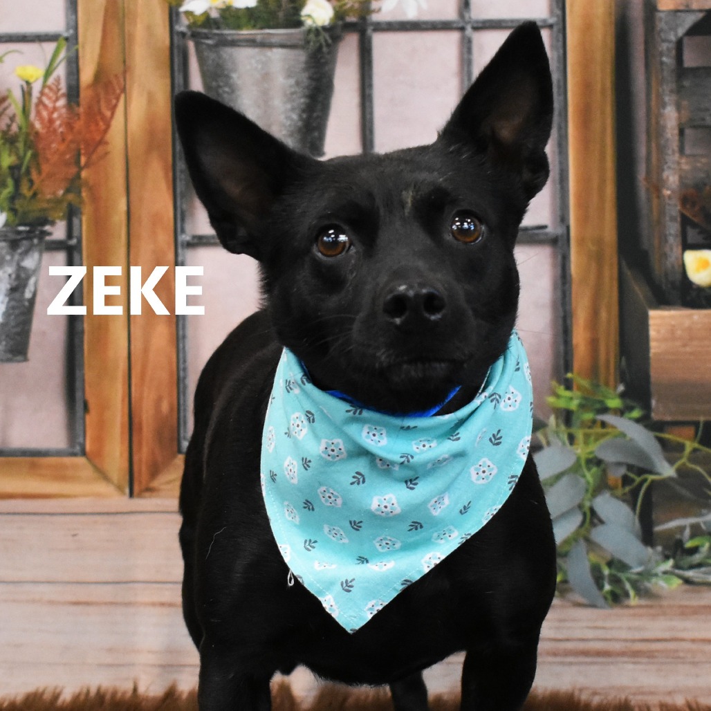 Zeke