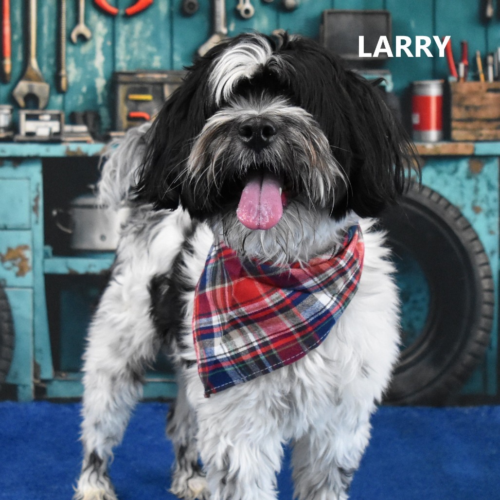 Larry