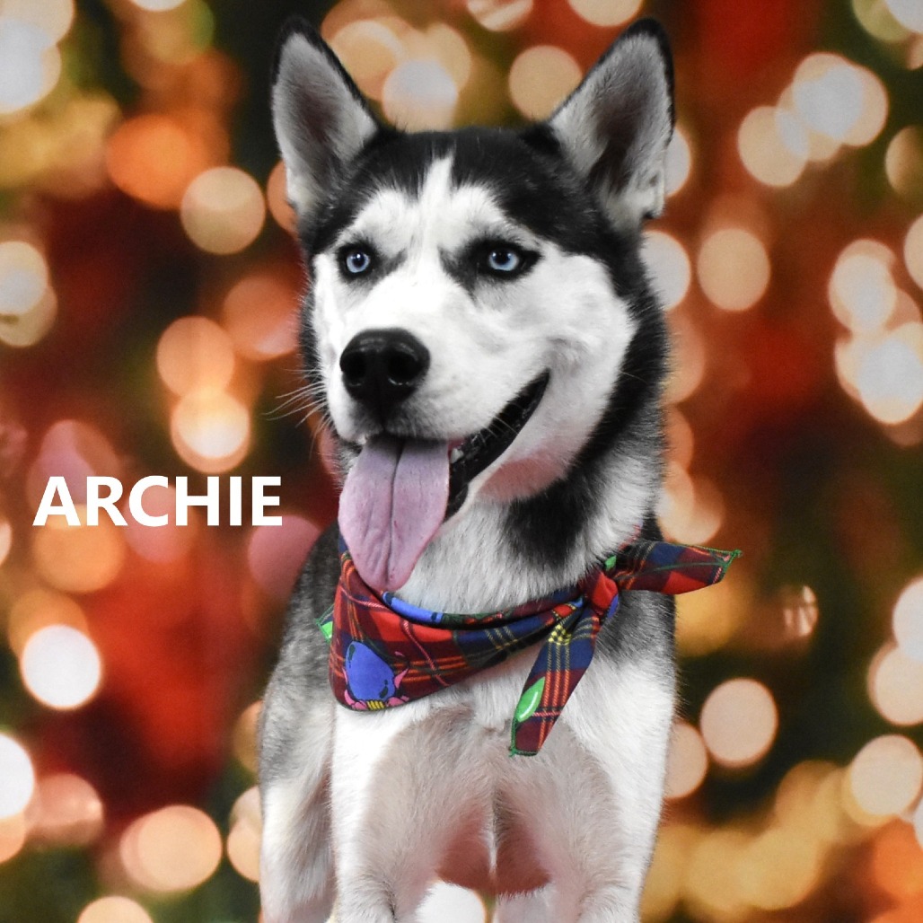 Archie