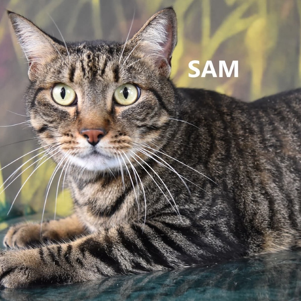 Sam