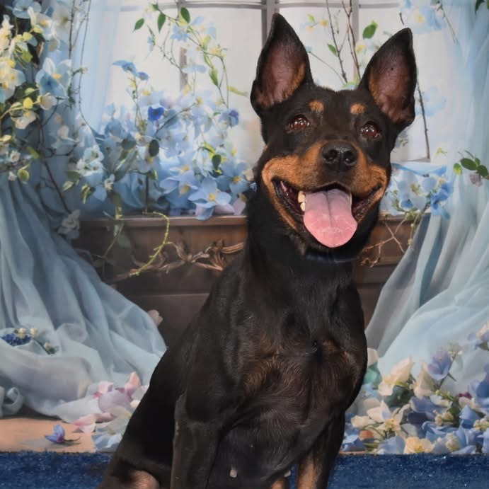 Frida
