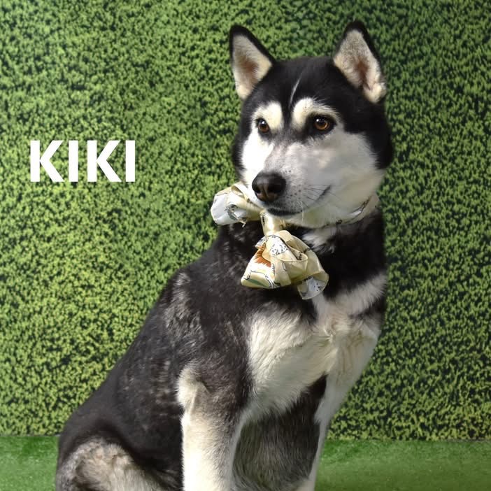 Kiki