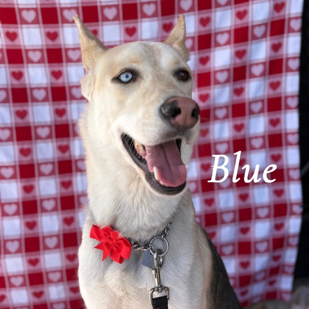 Blue