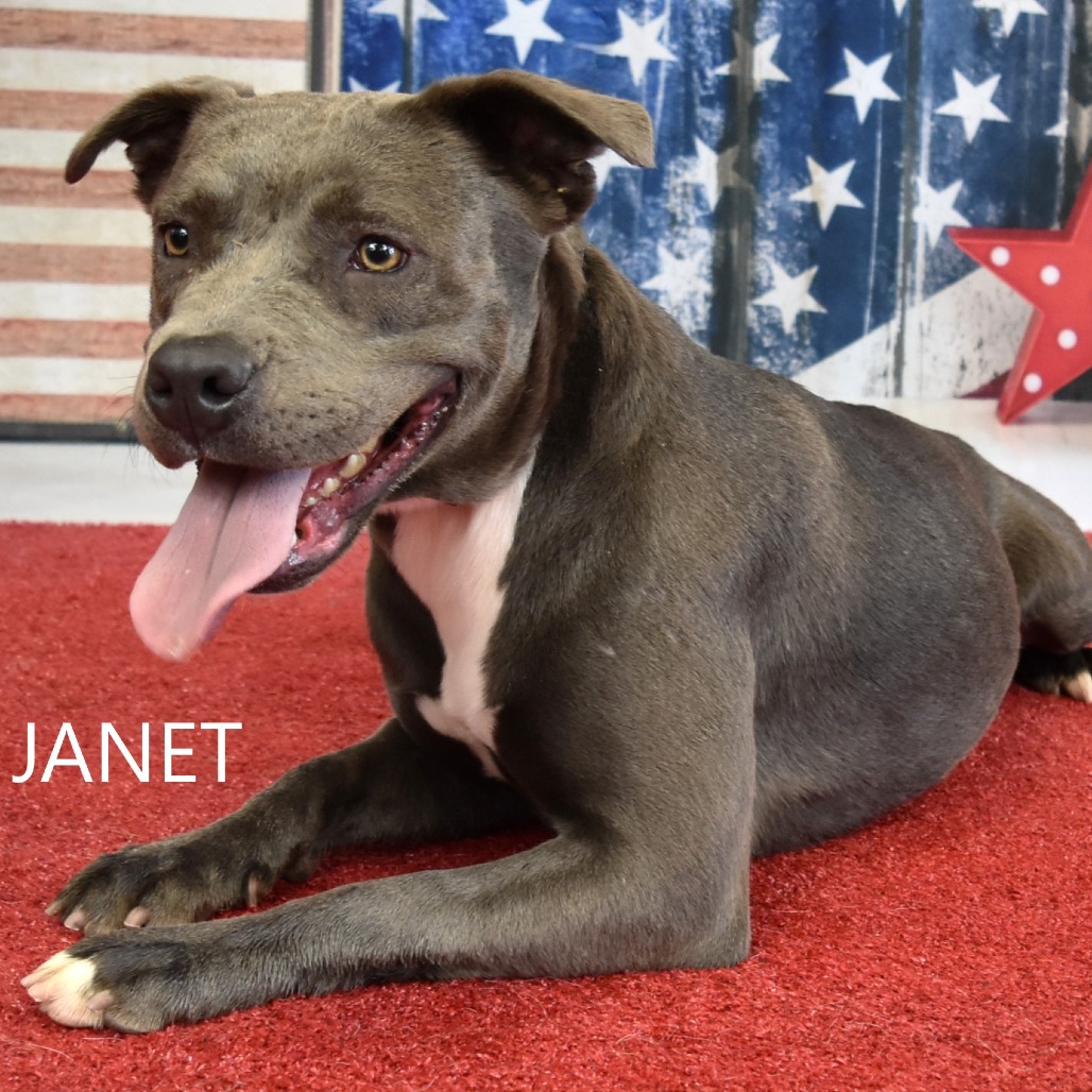Janet