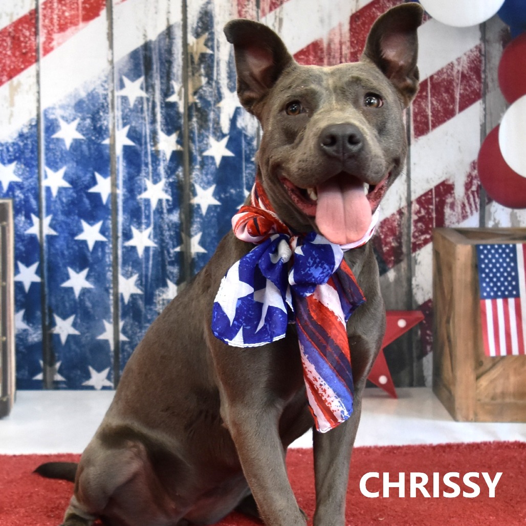 Chrissy