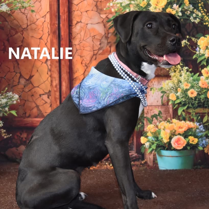 Natalie