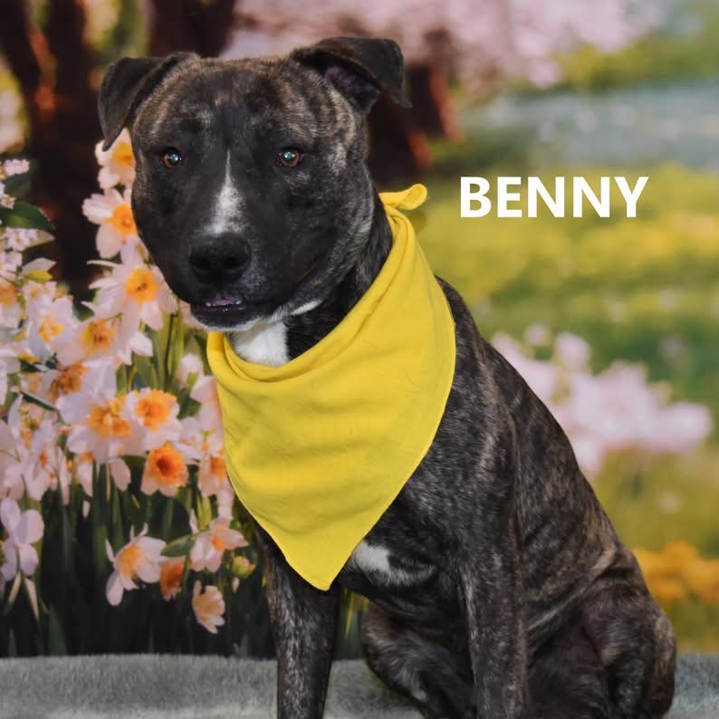 Benny