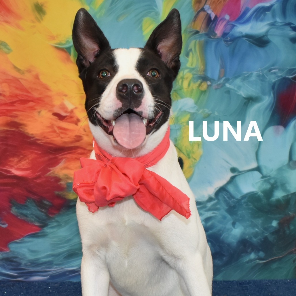 Luna