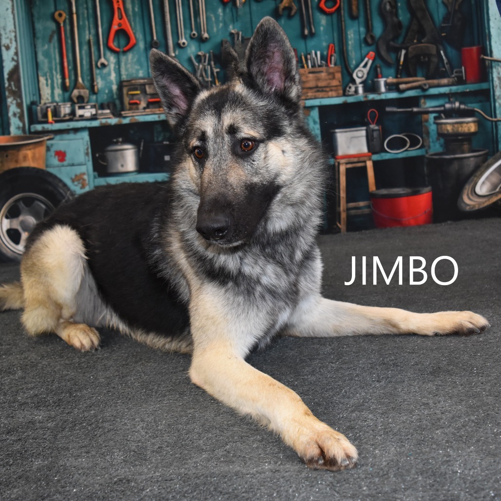 Jimbo