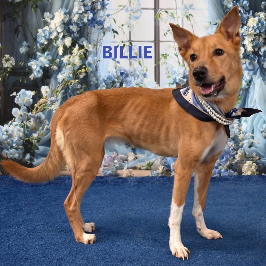 Billie