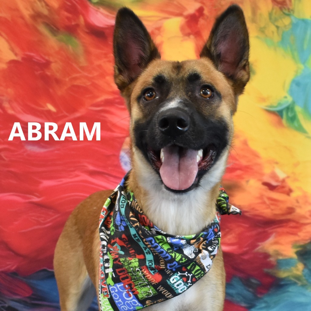 Abram 