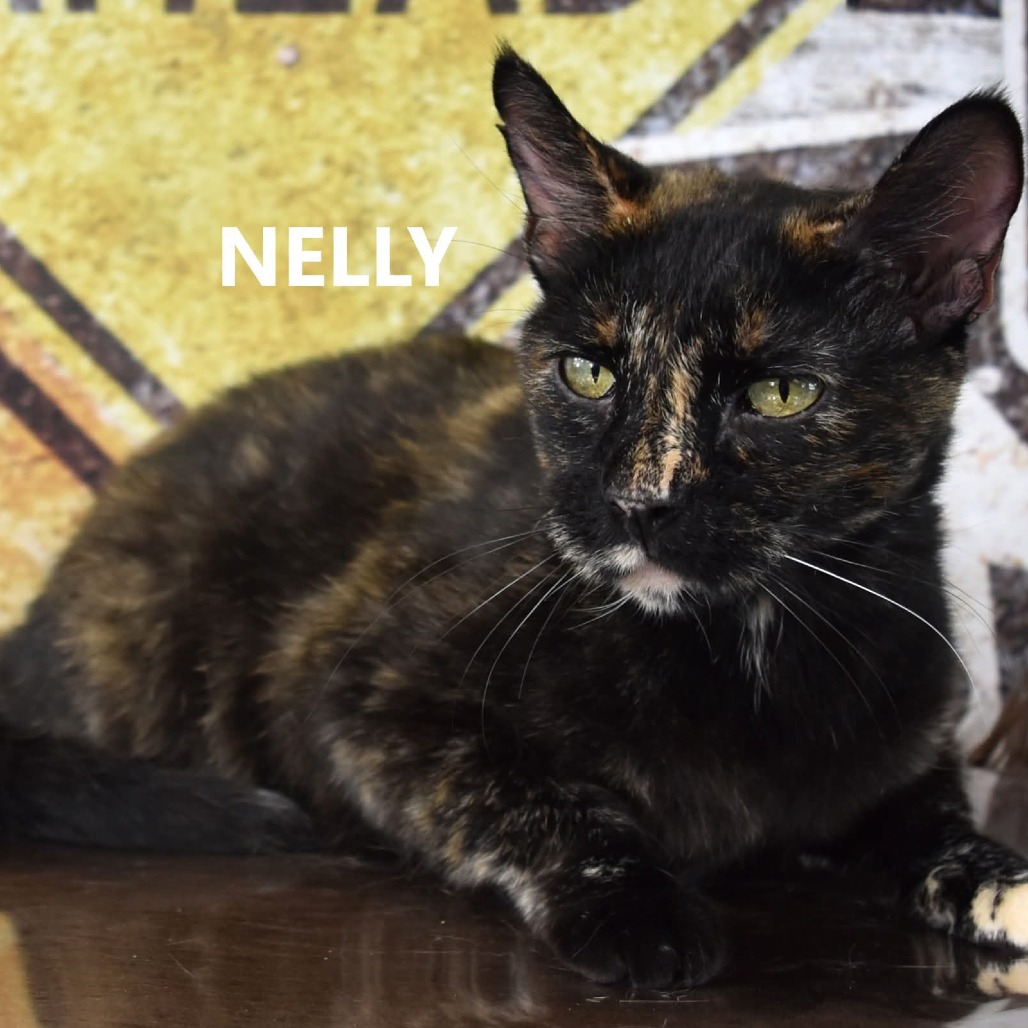 Nelly