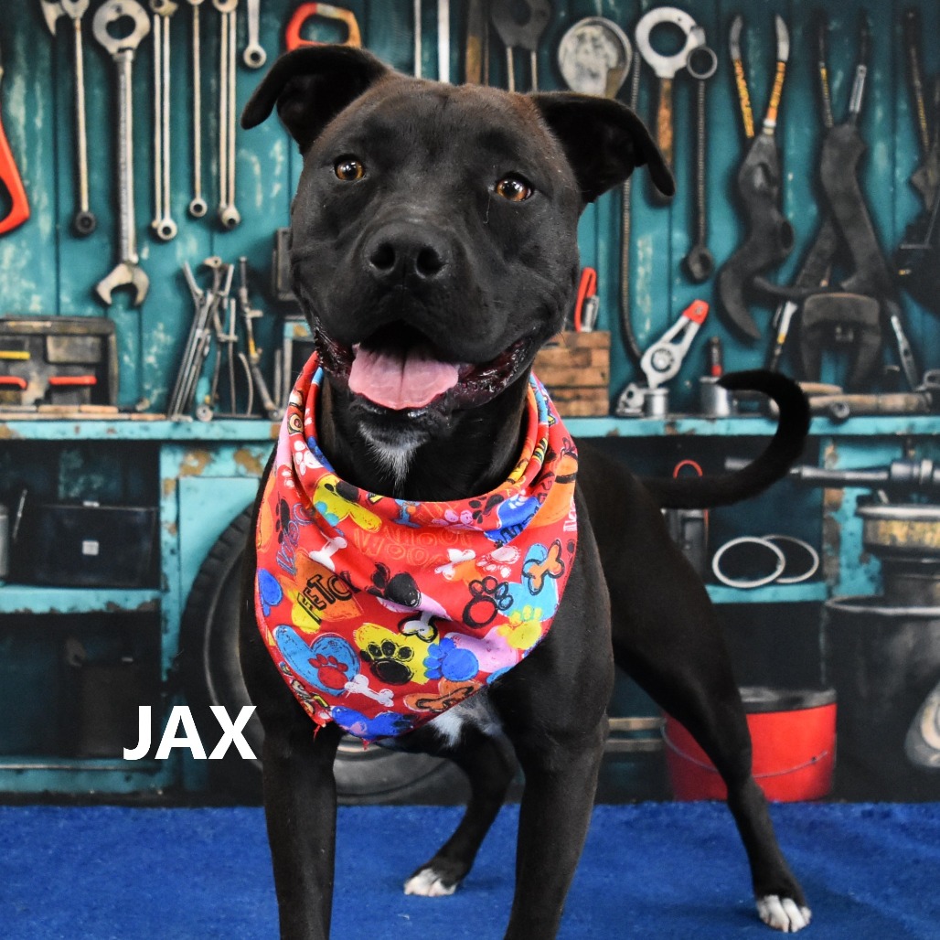 Jax