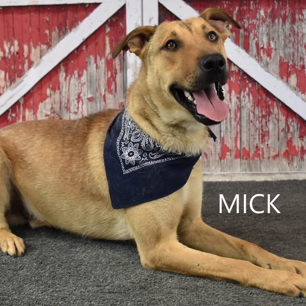 Mick