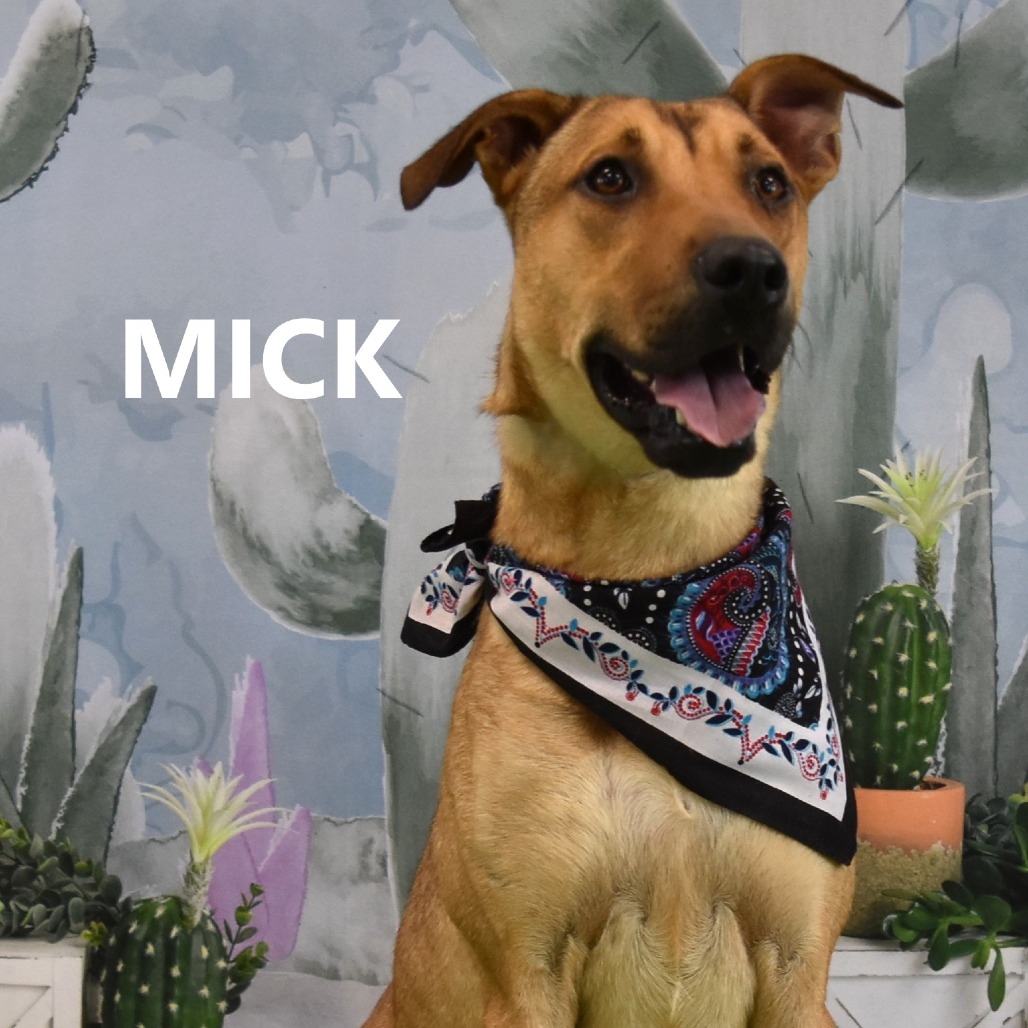 Mick