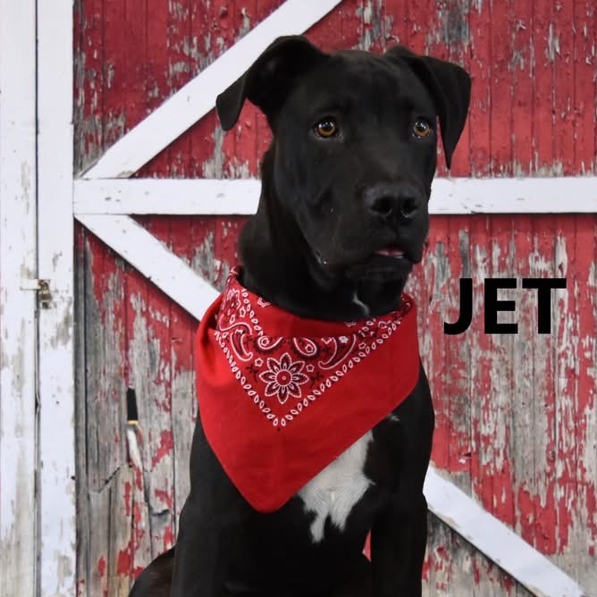 Jet