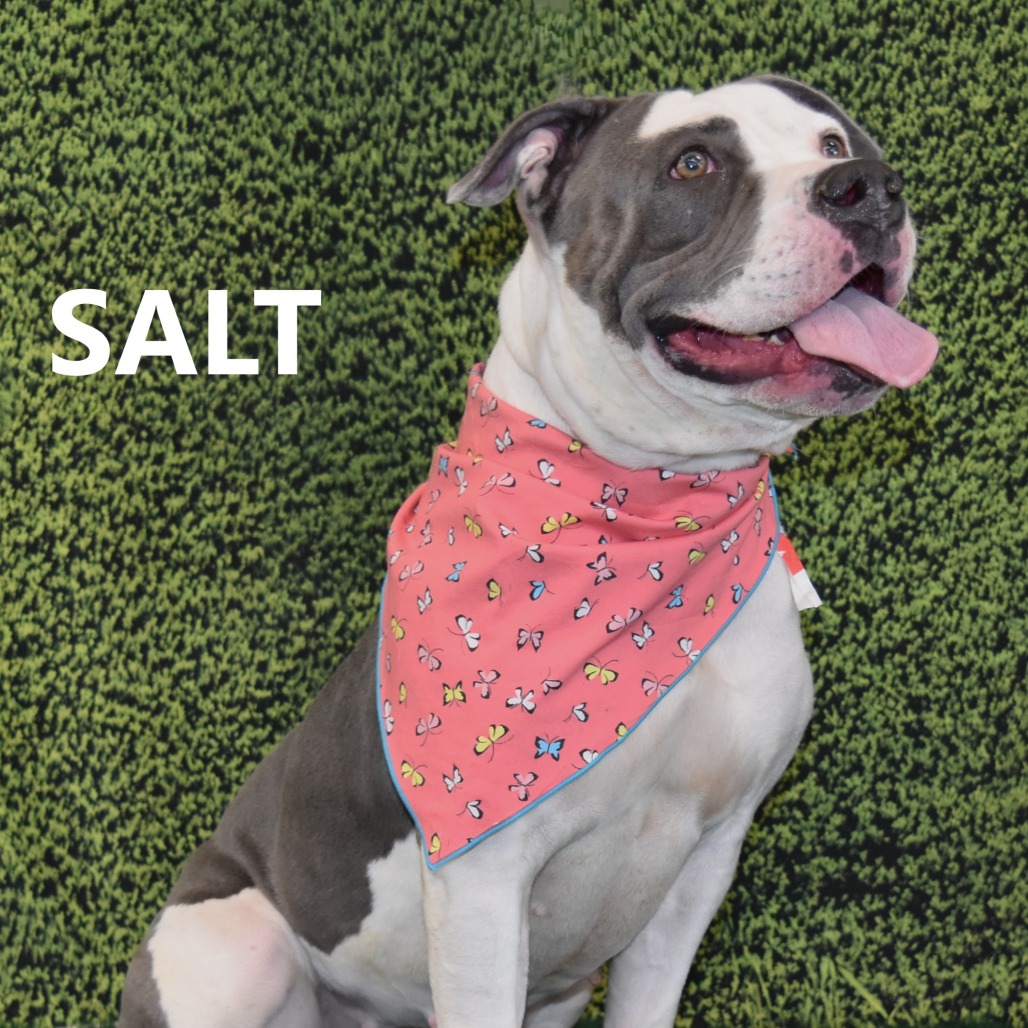 Salt