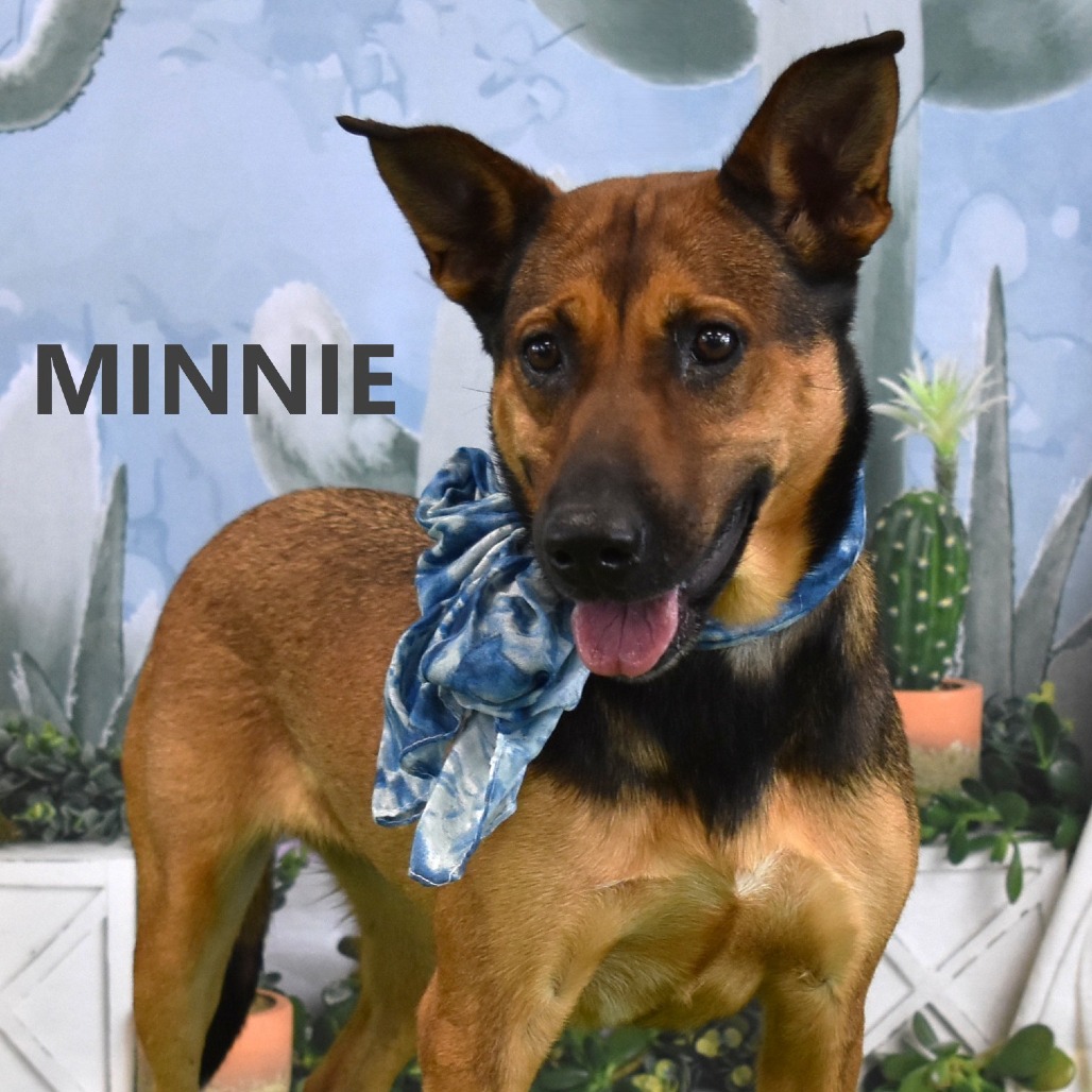 Minnie