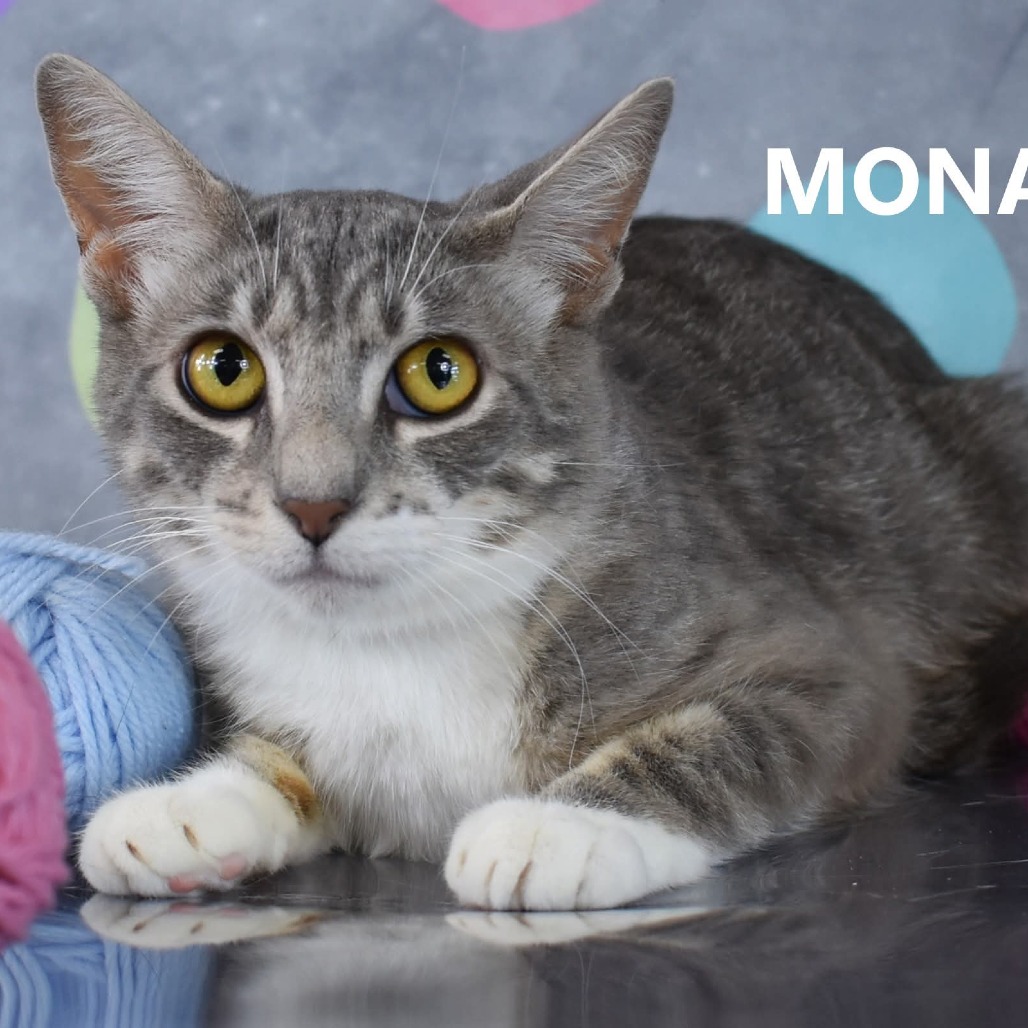 Mona
