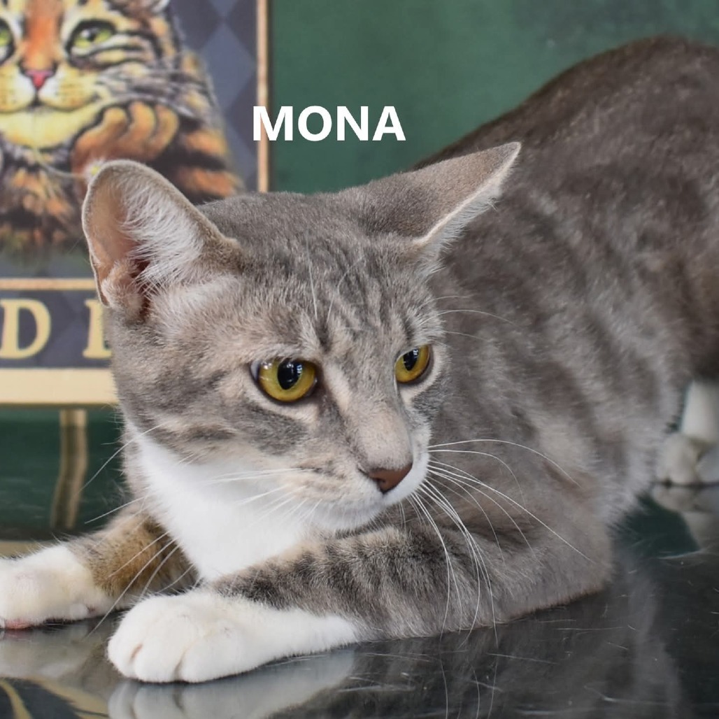 Mona