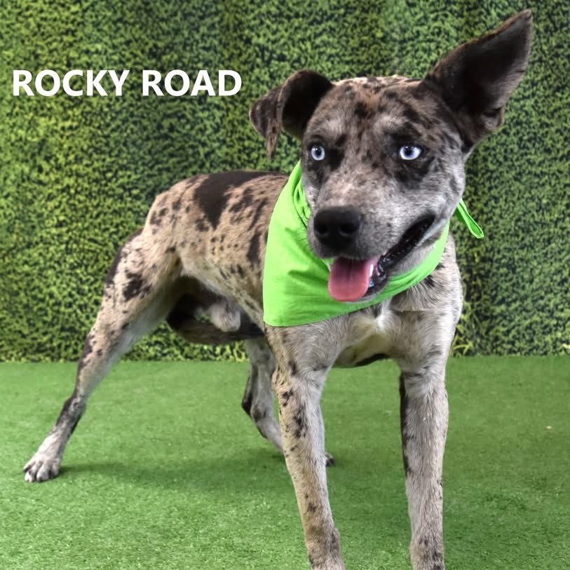 Rocky Road