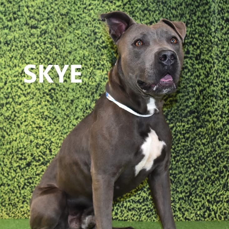 Skye