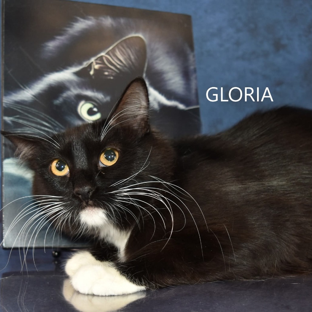 Gloria