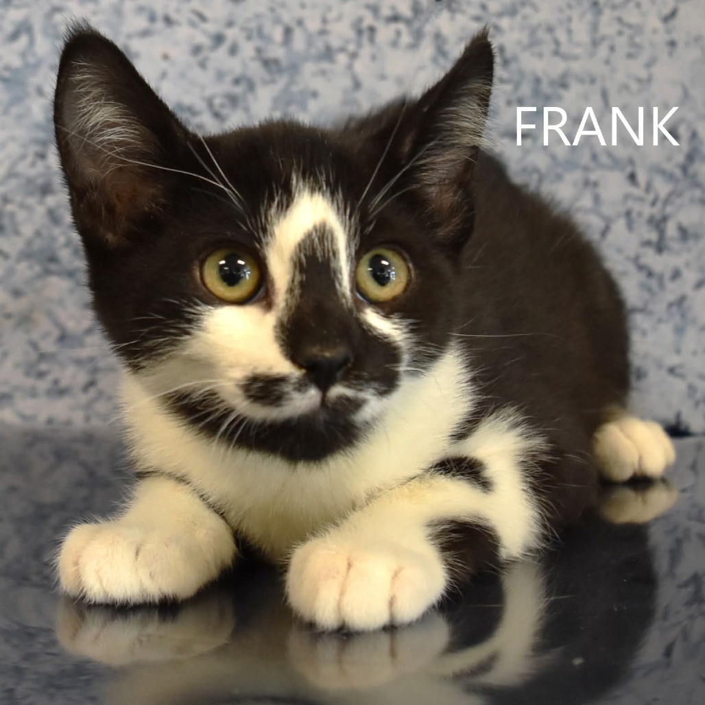 Frank
