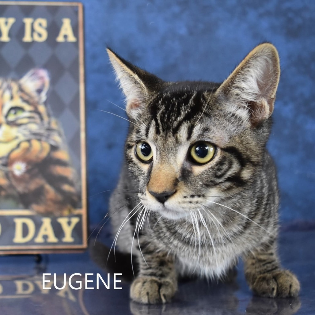 Eugene