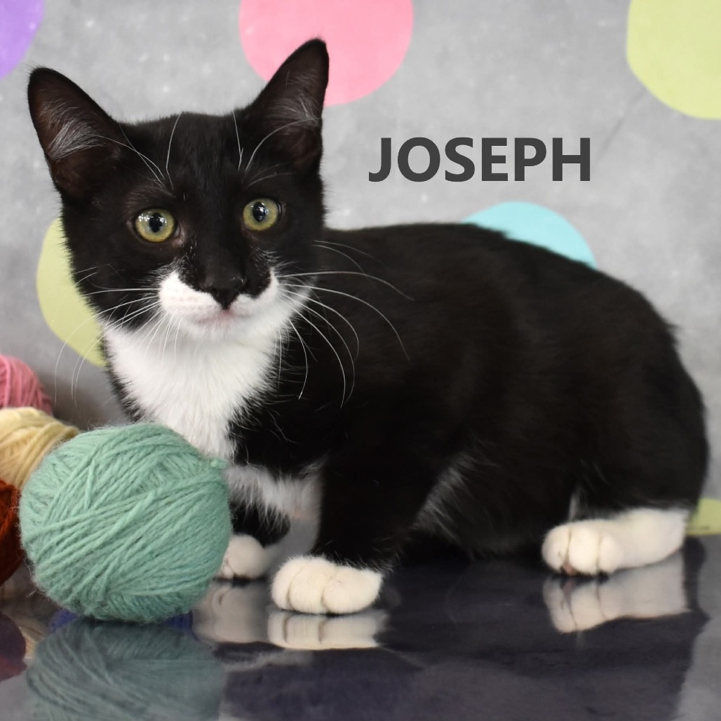 Joseph