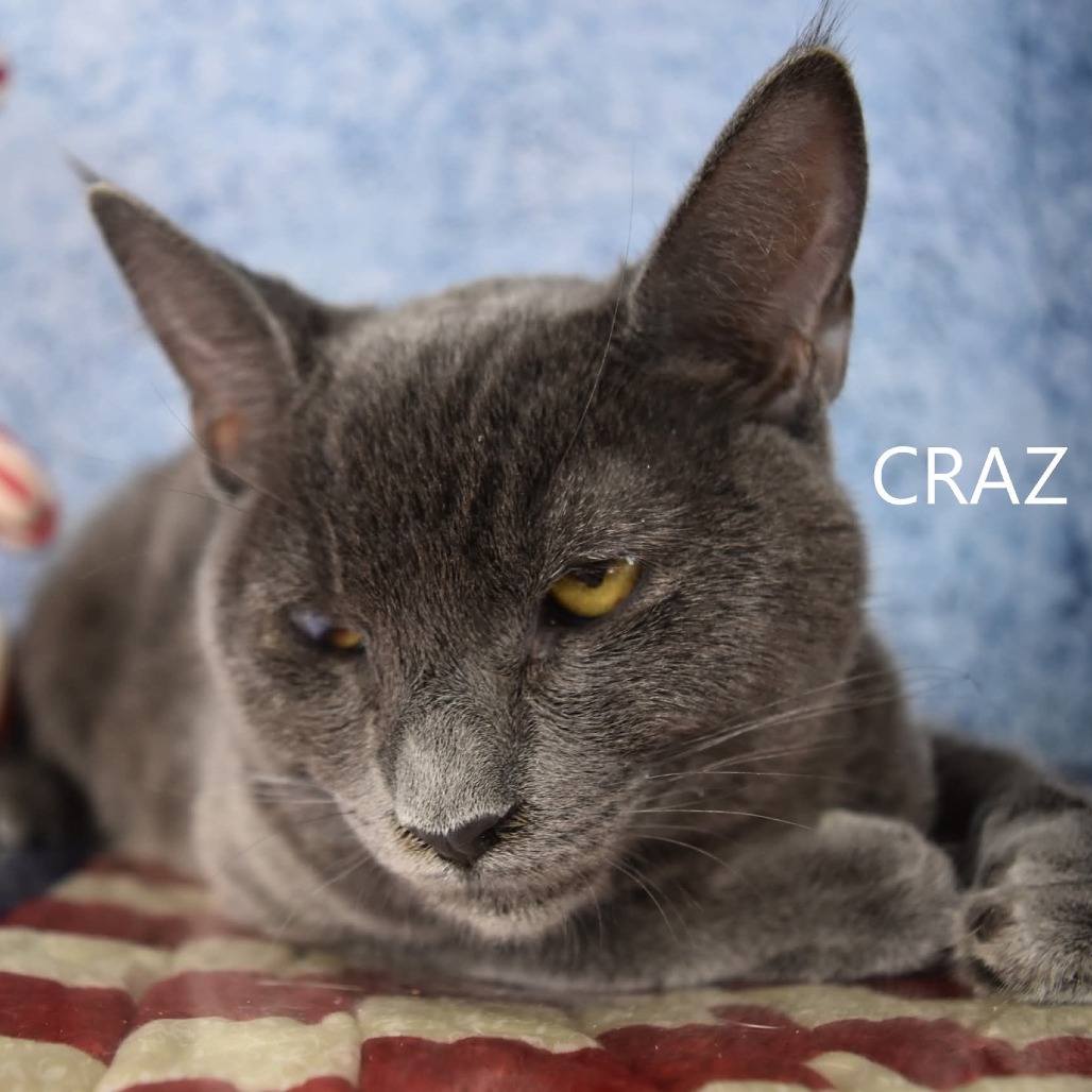 Craz