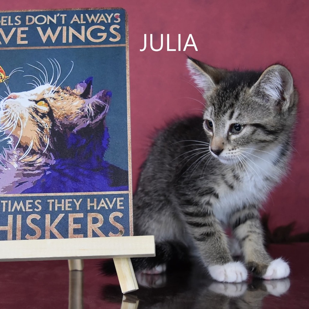 Julia/Lizzie