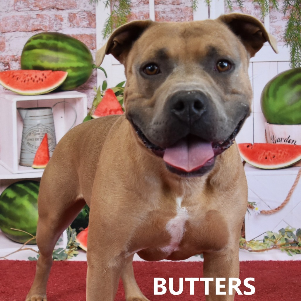 Butters