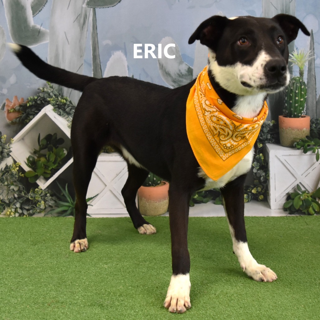 Eric